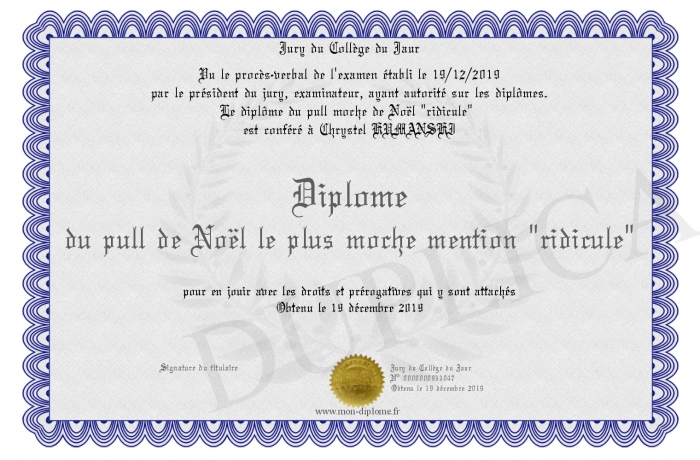 Diplome-du-pull-de-Noel-le-plus-moche-mention--ridicule-